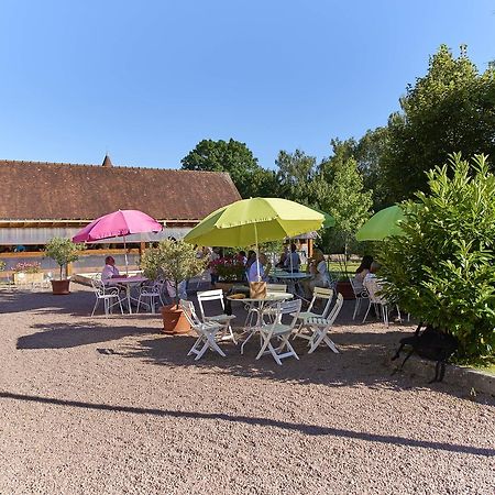 Gite Du Clos Champagnac Chailly-sur-Armancon ภายนอก รูปภาพ